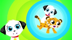 مجموعه آموزشی زبان انگلیسی little angel قسمت 215